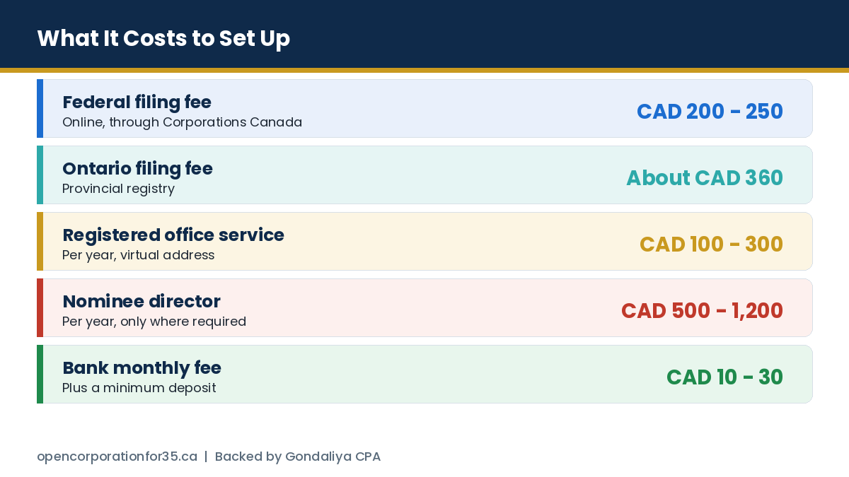 Cost breakdown covering government filing fees, registered office, nominee director, banking and tax filing