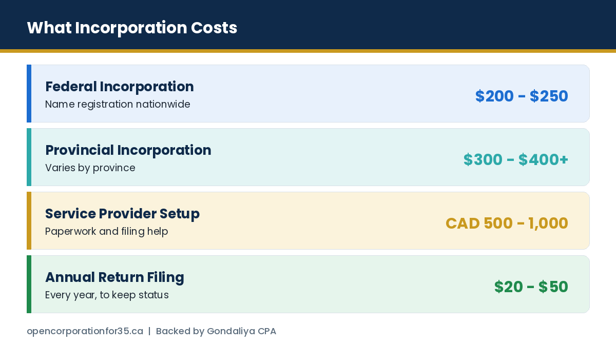 Government incorporation fees, service provider fees and annual maintenance costs for non-residents
