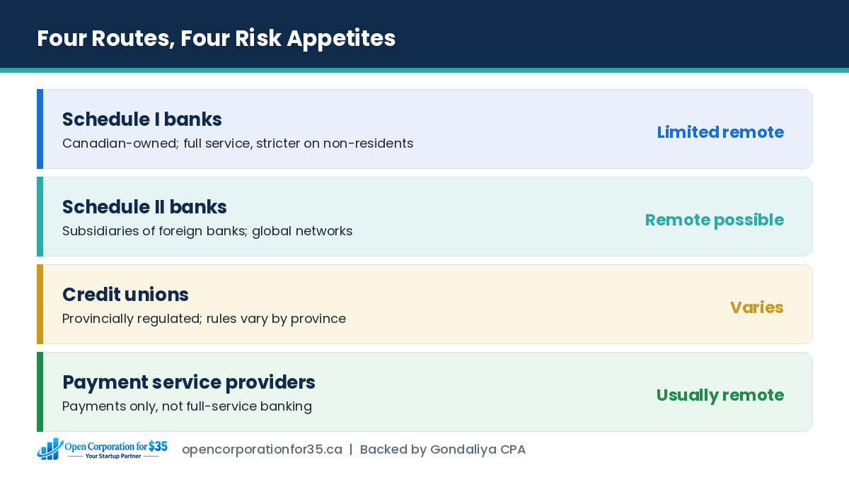Comparison of Schedule I banks, Schedule II banks, credit unions and payment service providers for non-resident owners